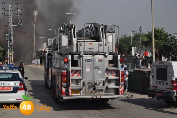 fireludkartoonmasna34 (42).JPG